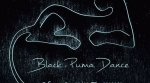  Black Puma,  